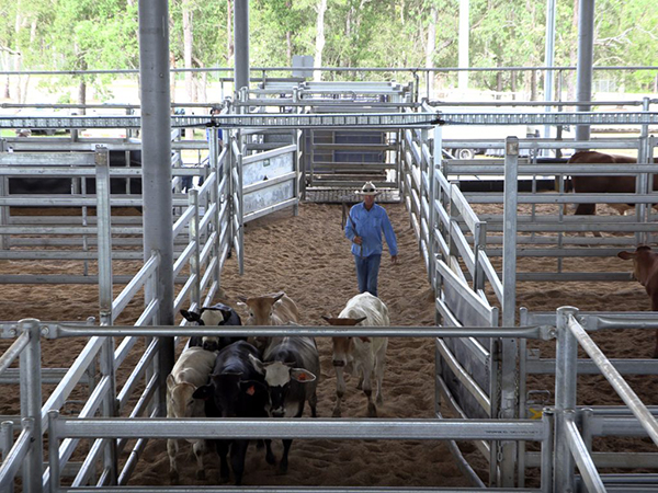 Casino Stockyards