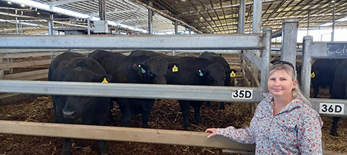 Heidi Lyle Of Prime Time Angus Stud Casino ( Lyle Family Angus)